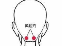 风池的定位方法，风池的准确位置图和作用