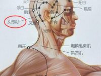头窍阴的准确位置怎么找，头窍阴的准确位置图和作用
