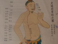 胃经在哪里，胃经的准确位置图和作用