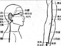 三焦经的准确位置图，手少阳三焦经循行路线