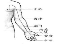 心包经的作用功效，心包经的准确位置图