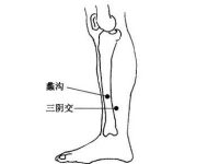 蠡沟怎么发音，蠡沟的准确位置图和作用