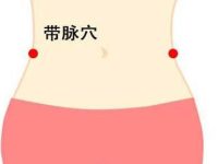 找带脉的简单方法,带脉的准确位置图和作用 找带脉的简单方法,带脉的准确位置图和作用