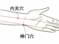 内关的八大功效，内关的定位与主治作用