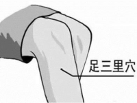 足三里疼是怎么回事，足三里特别疼是哪不好
