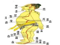 经络养生的好处 九大经络养生的方法及功效