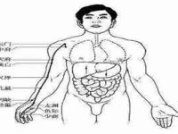 经络养生有什么好处 六大经络养生好处须知道