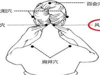 风池的简易找法，风池疼是什么原因