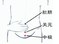中极在哪个位置， 中极的准确位置图片及作用