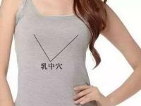乳中是什么，乳中的准确位置图和作用