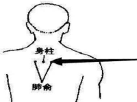 身柱怎么找小窍门，身柱穴的准确位置图