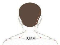 天髎的准确位置怎么找，天髎的准确位置图和作用