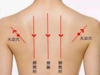 天宗怎么找最快，女性天宗的准确位置图