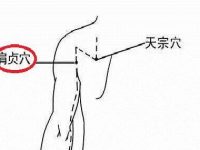 肩贞一按特别疼，肩贞疼痛是什么原因