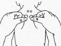 肺俞怎么读是yu还是shu，小儿肺俞准确位置图