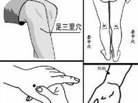 《四总穴歌》是什么，四总穴歌的意思