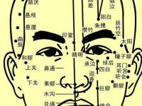 面部穴位，脸部29个穴位的位置汇总（附面部穴位图）