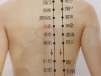 督俞的作用与功效，督俞的准确位置图和作用