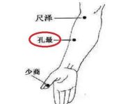 孔最如何定位，孔最的神奇功效与作用