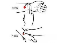 内关的所属经络，内关在左手还是右手