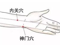 按揉内关配神门的功效，内关和神门示意图