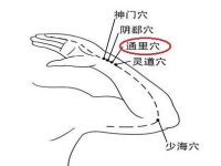 通里的定位与主治，通里的准确位置图和作用