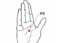 劳宫的定位和主治，劳宫的准确位置图和作用