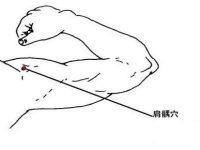 肩髃怎么读，肩髃的准确位置图片