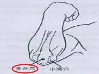 人体天井在哪个位置，天井的准确位置图和主治
