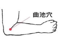 曲池和尺泽怎么分辨，曲池和尺泽准确位置图