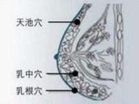 怎么找天池准确位置，女性天池的准确位置图和作用