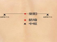 筋缩穴的简易找法，筋缩的按摩方法