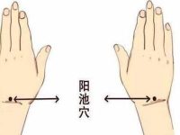 阳池的简易找法，阳池穴的神奇功效与作用