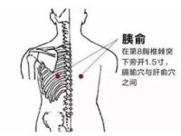 胰俞怎么读，胰俞的简易找法，胰俞的准确位置图
