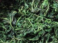 桑叶洗头能治疗脱发吗，桑叶煮水洗头正确方法