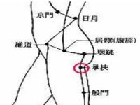 承扶的简易找法，承扶准确位置图和作用