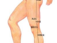 膝阳关怎么找容易，膝阳关准确位置图和作用