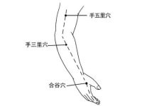 手五里的神奇功效，手五里准确位置图和作用