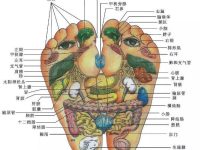 脚底穴位图高清图片，足疗口诀可以收藏一下！