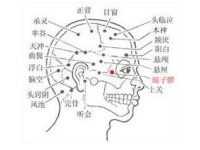 上关穴的最笨找法,上关的准确位置图和作用 上关穴的最笨找法,上关的准确位置图和作用