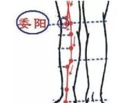 委阳的最简单找法，委阳的准确位置图和作用