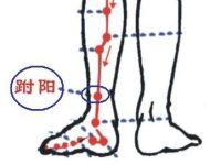 跗阳疼代表什么，跗阳的准确位置图和作用