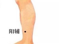阳辅穴怎么找最简单，阳辅的准确位置图和作用
