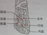 地五会的奇效，地五会的准确位置图和作用