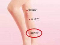 漏谷的神奇功效，漏谷的准确位置图和作用