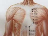 彧中怎么读？彧中的准确位置图和作用