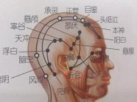听会什么意思？听会的准确位置图和作用