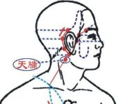 天牖怎么读音？天牖的准确位置图和作用