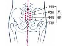 次髎的简便找法，次髎的准确位置图和作用