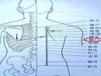 魂门疼痛是什么原因？魂门的准确位置图和作用